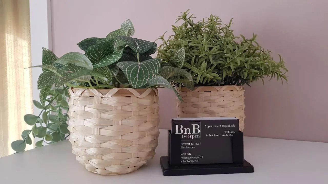 Bnb Antwerpen - Chique Belgium