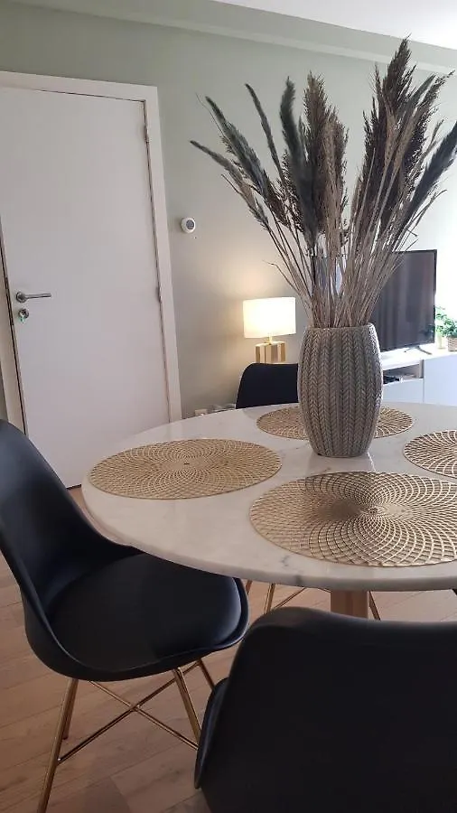 Bnb Antwerpen - Chique Antwerp